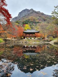 Backyangsa temple, November 이미지